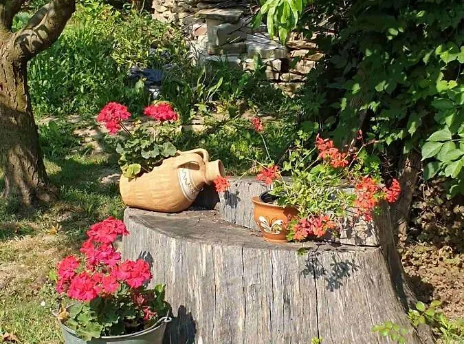 Kis Haz * Zalacsány